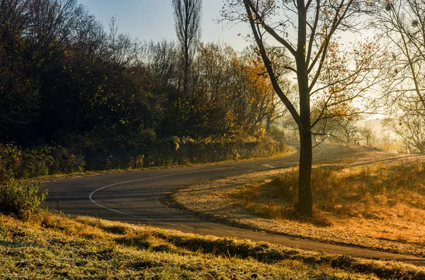 Kręta droga wsi w późno jesienne mgły — Zdjęcie stockowe