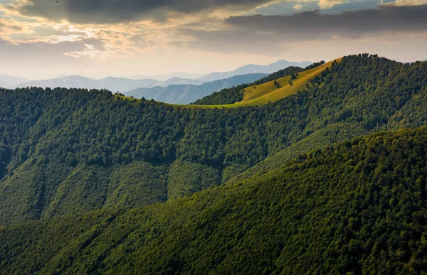 Bergrücken mit Wald auf Hügeln bei Sonnenaufgang — Stockfoto