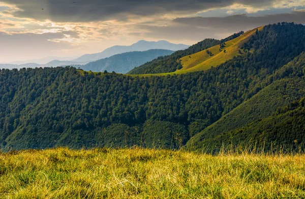 Crête de montagne avec forêt sur les collines au lever du soleil — Photo