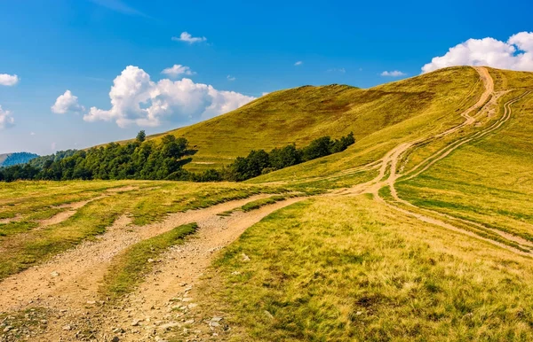 patika orman hills aracılığıyla