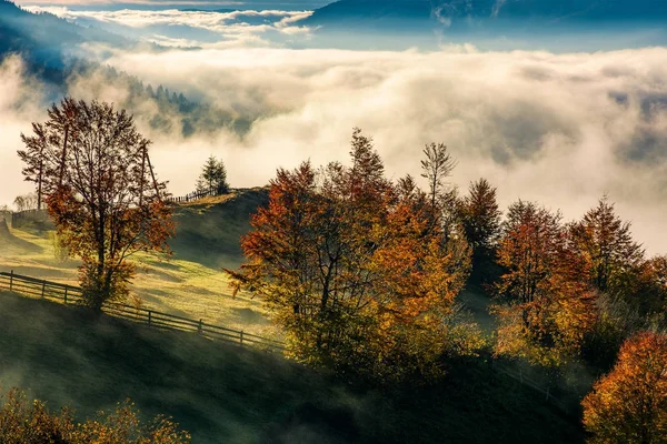 Gorgeous countryside with rising fog in valley — Stock Photo, Image