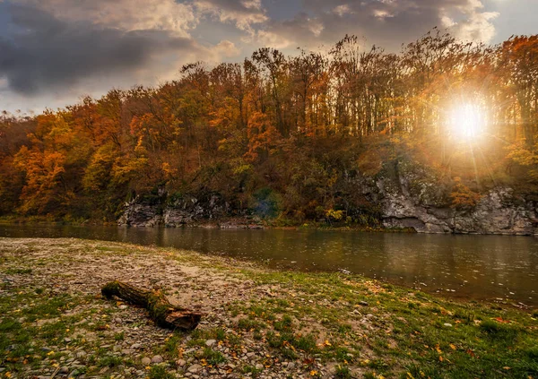 Tronco en una orilla rocosa del río bosque al atardecer — Foto de Stock