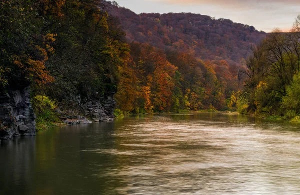 秋の山の森の川 — ストック写真