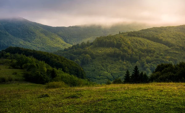 Mattina nebbiosa tra verdi montagne — Foto Stock