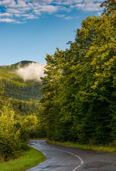 Estrada sinuosa através da floresta nas montanhas — Fotografia de Stock