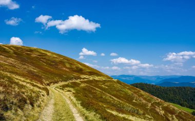 patika orman hills aracılığıyla