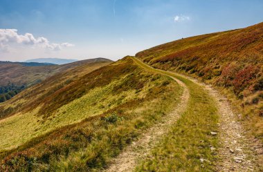 patika orman hills aracılığıyla