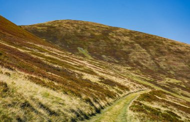 patika orman hills aracılığıyla