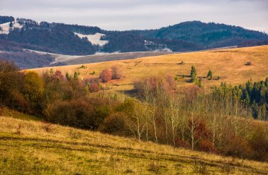 tepeler ile sonbahar çıplak ormanda