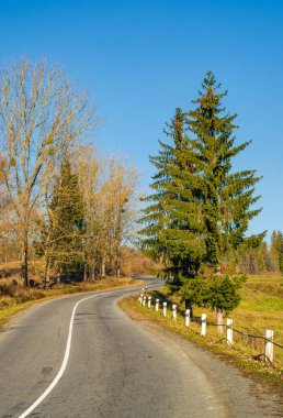 serpentine gündoğumu, dağlarda ağaçlarda