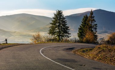 serpentine tehlikeli dönüşte