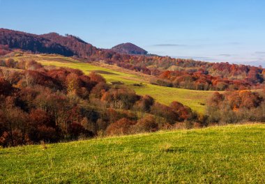 Dağlık kırsalında otsu çayır