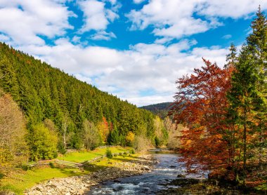 güzel sonbahar gün nehirde dağ