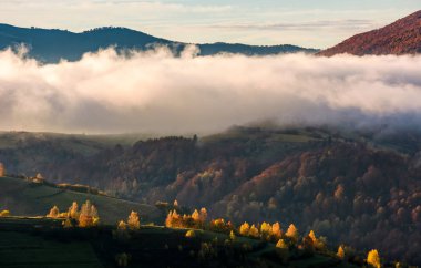 kalın sis sonbahar dağlarda tepenin üzerinden
