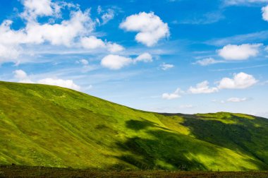 mavi gökyüzünün altında yeşil alps