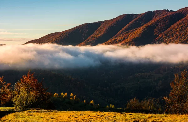 Nuage s'élevant au-dessus de la forêt en automne montagnes — Photo