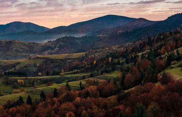 Bosque en las colinas en el campo montañoso al amanecer — Foto de Stock