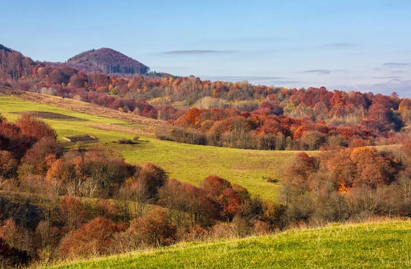 Rural fields on hills in autumn — Stock Photo, Image