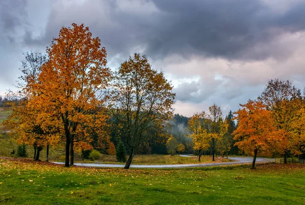 Жовті дерева вздовж гірської дороги восени — стокове фото