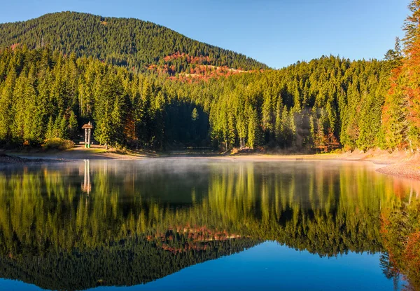 Réflexion forestière sur la surface brumeuse du lac Synevyr — Photo