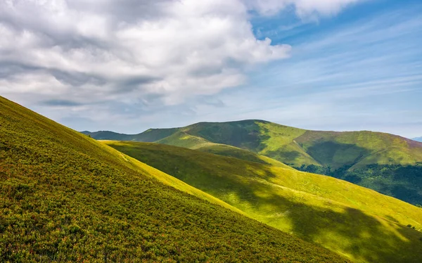 Yaz aylarında muhteşem yeşil haddeleme hill