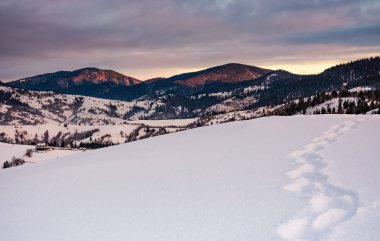 patika gündoğumu, dağlarda karlı yamaca