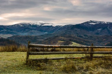 sonbahar otsu çayır çit