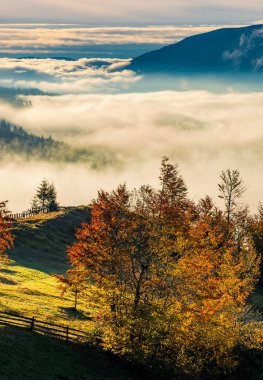 Orchard sisli dağlar kırmızı yaprakları ile