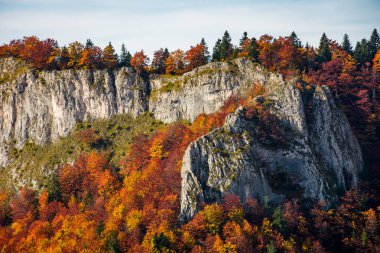 bir kayalık uçurum sonbahar orman