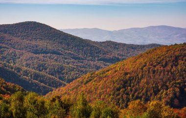 Kırmızı yapraklar ormanda ile Dağları