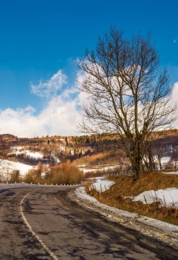 Kışın eğrisi karayoluyla çıplak ağaç