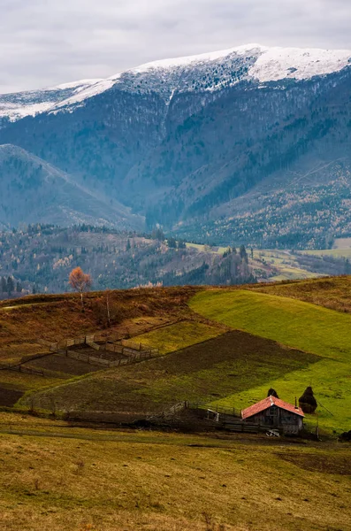 Barn and lonely tree on hillside in high mountains — Stock Photo, Image