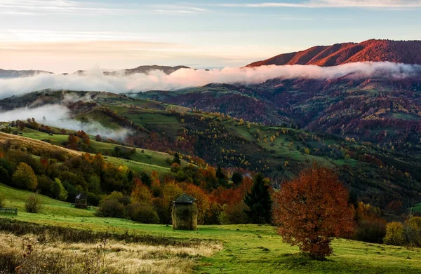 Landelijk gebied op mistige ochtend van de herfst — Stockfoto