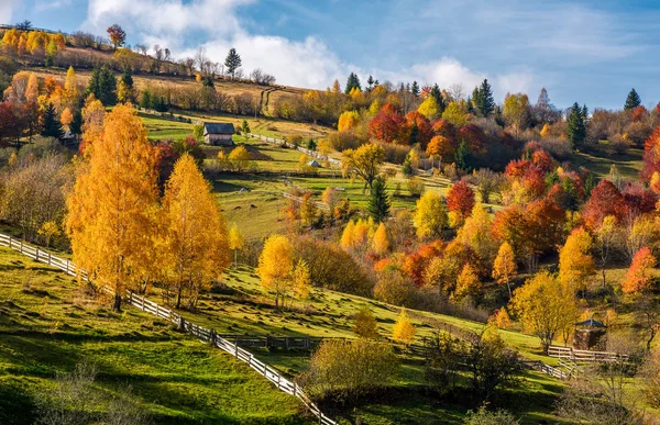 Venkovské oblasti na svahu na podzim — Stock fotografie