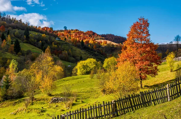 Diepe zonnige herfstdag in bergachtige platteland zijn — Stockfoto