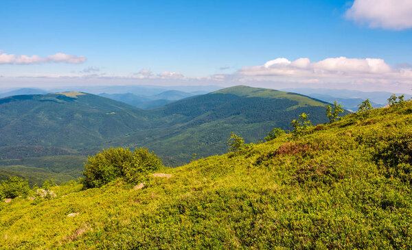 grassy slippery slope of mountain ridge