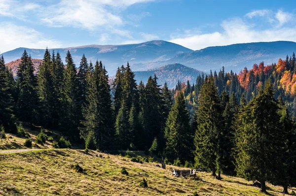 Чудова гірськими пейзажами Карпатських восени — стокове фото