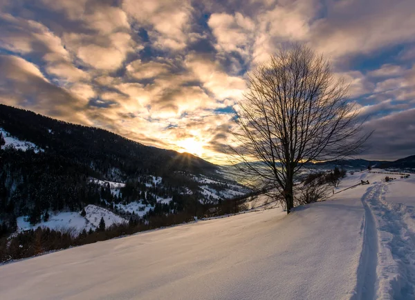 Fußweg durch verschneiten ländlichen Hang — Stockfoto