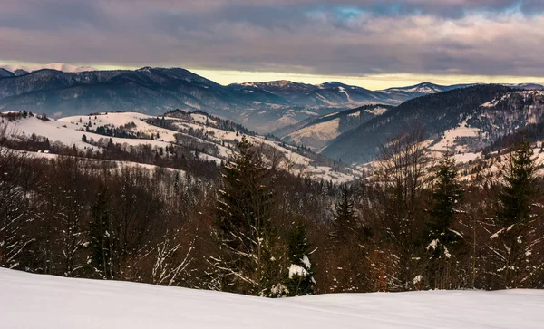 Wald auf schneebedeckten Hügeln in den Bergen im Morgengrauen — Stockfoto