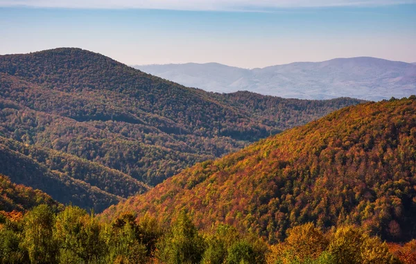 Kırmızı yapraklar ormanda ile Dağları