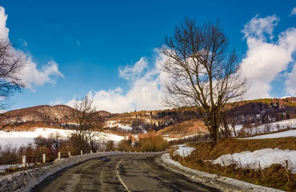 Kışın eğrisi karayoluyla çıplak ağaç — Stok fotoğraf