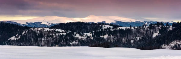 Panorama z Borżawa Grzbiet górski w zimie — Zdjęcie stockowe