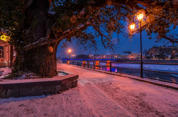 Énorme arbre et lanterne sur le remblai d'hiver — Photo