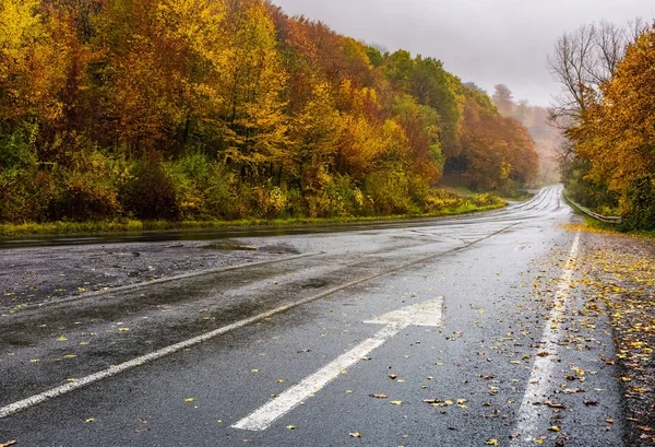 Mokry asfalt droga przez las w głęboką jesienią — Zdjęcie stockowe