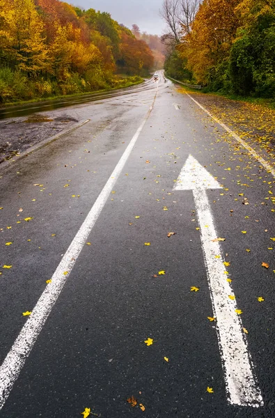 Camino de asfalto húmedo a través del bosque en otoño profundo —  Fotos de Stock