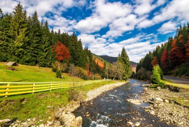Ladin ormanlık Dağları'nda küçük nehir