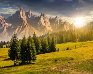 hillside batımında dağlarda Ladin ağaçlarının