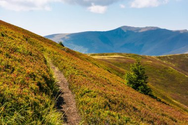 yol olsa dağ tepe ve ridge