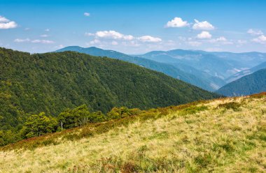 erken sonbaharda güzel dağlık manzara