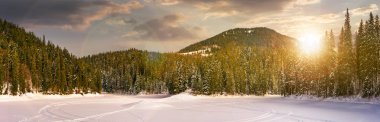 snowy meadow in winter spruce forest at sunset clipart
